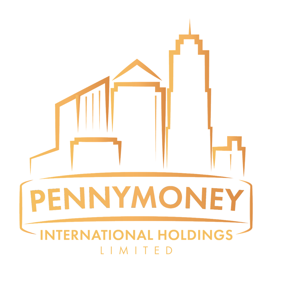 PENNYMONEY INTERNATIONAL HOLDINGS LIMITED