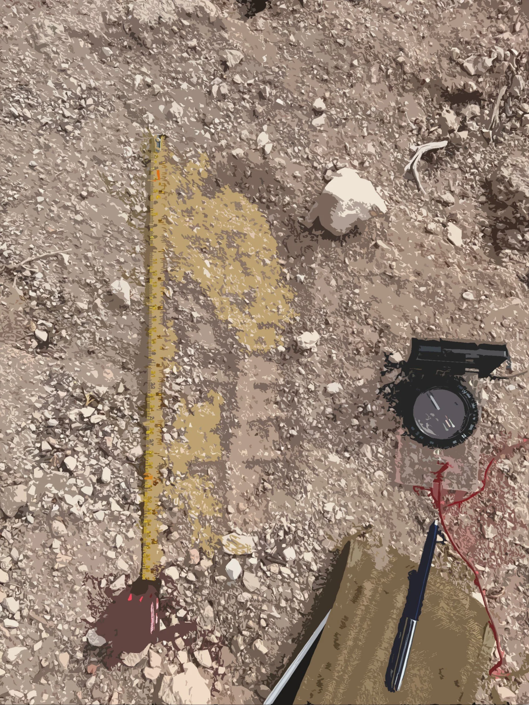 Shoe impression in loose soil with measuring device and magnetic compass in frame.