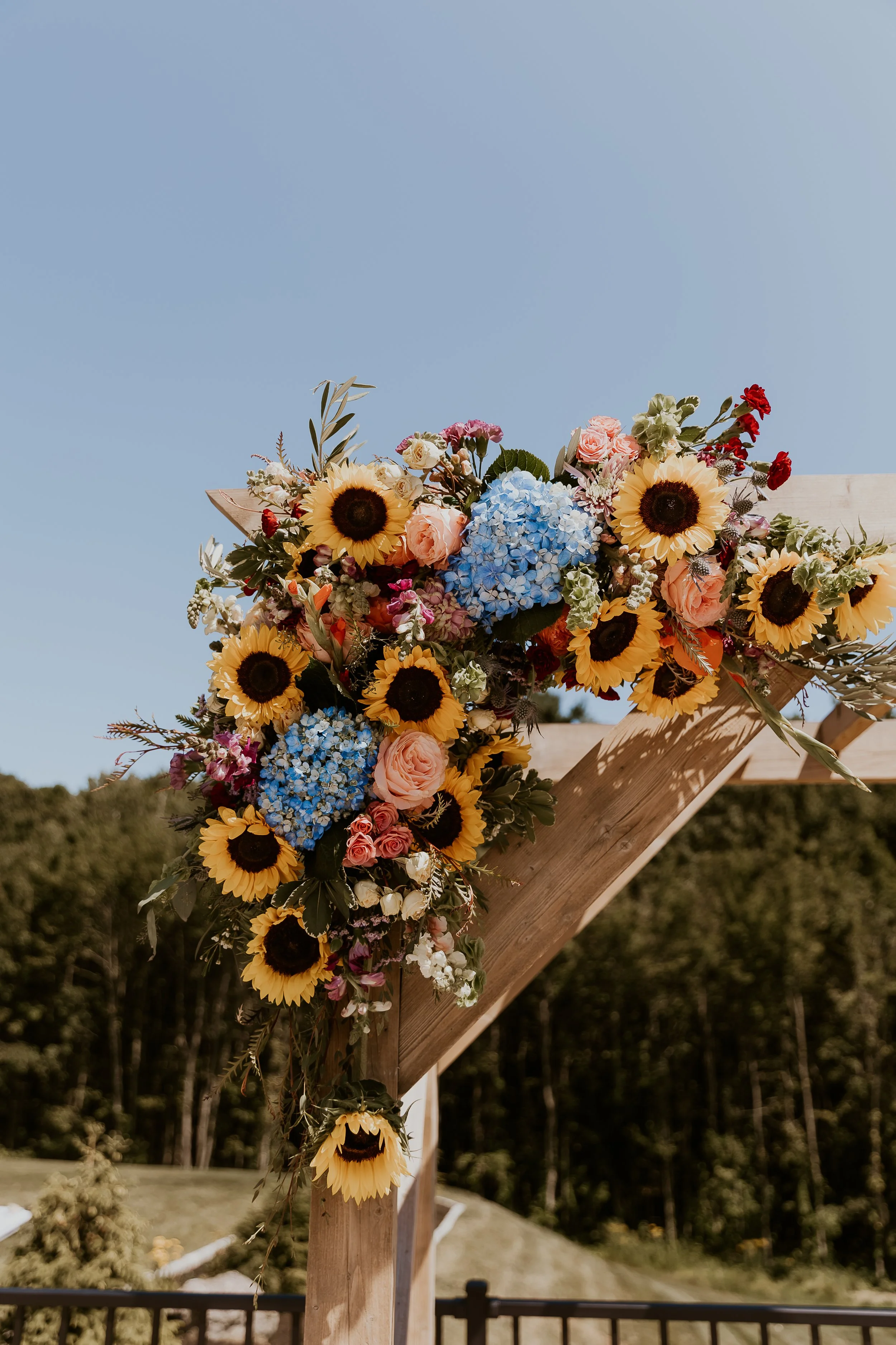 @laurencaseyphotography