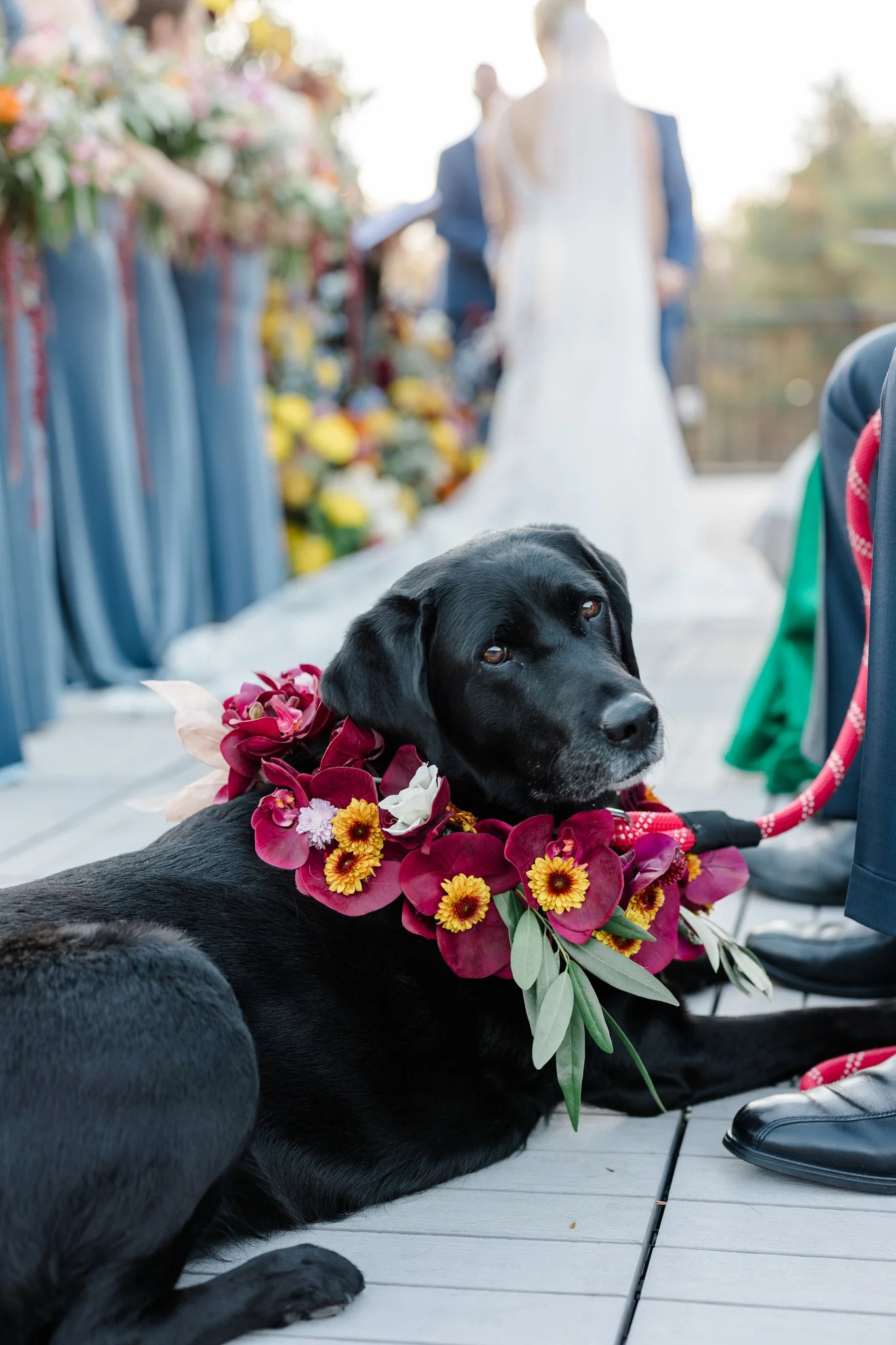 A+K | Lovely Valentine Photo + Film