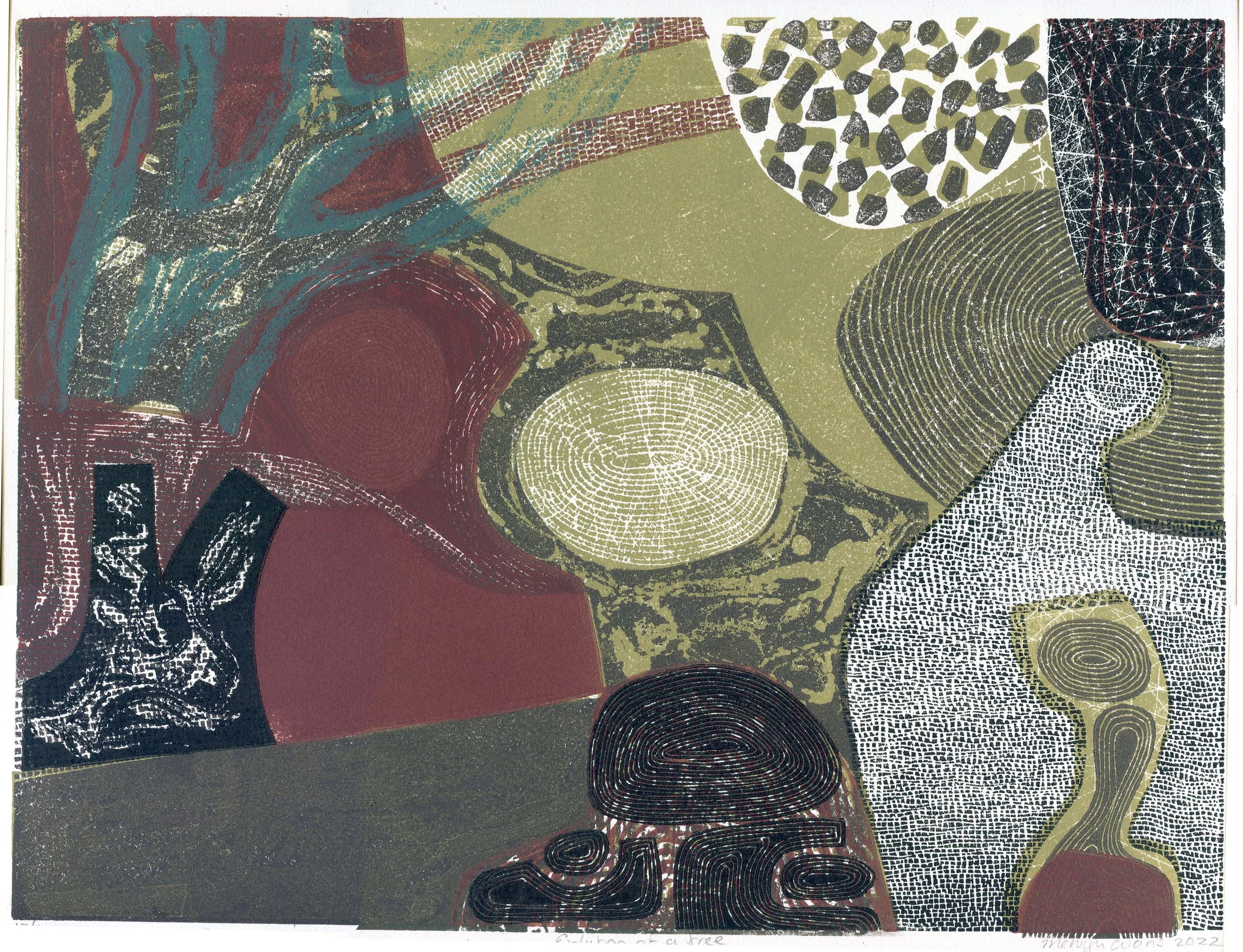 evolution of a tree 30x40cm.jpg