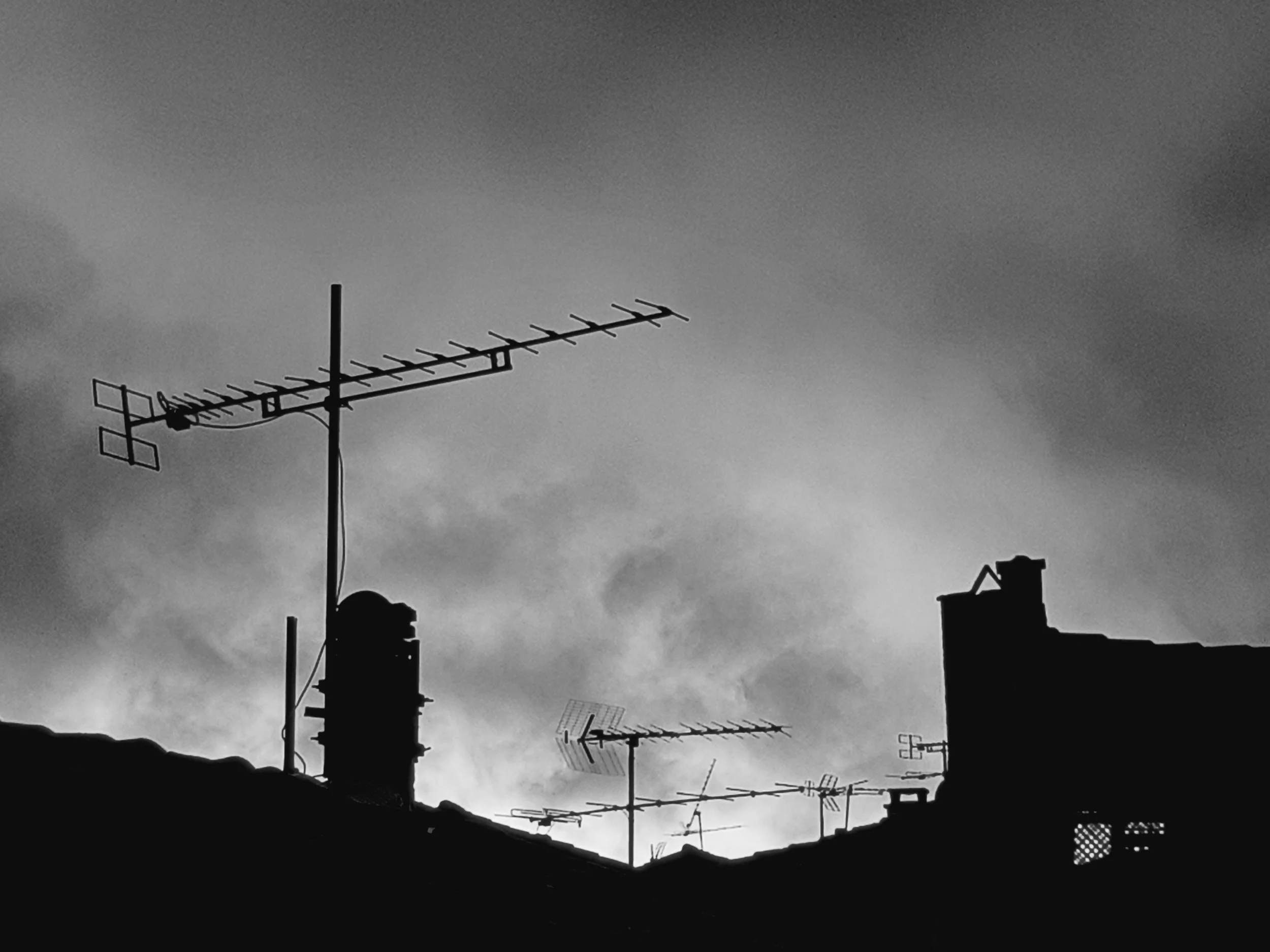 20240225_073610 (1).jpg