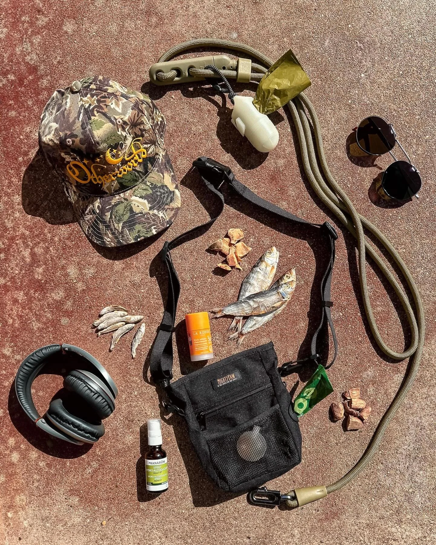 What Should You Put In a Pet "Go Bag"?