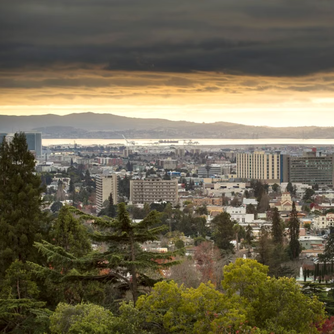 Why Our Pet Sitters Love Oakland, CA