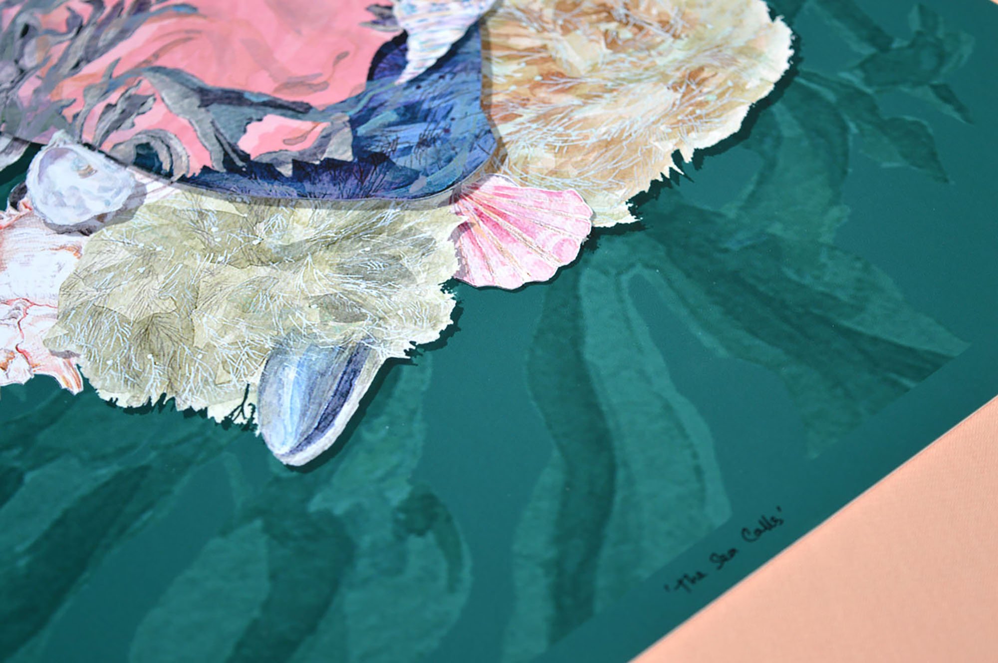 sea calls upclose.jpg