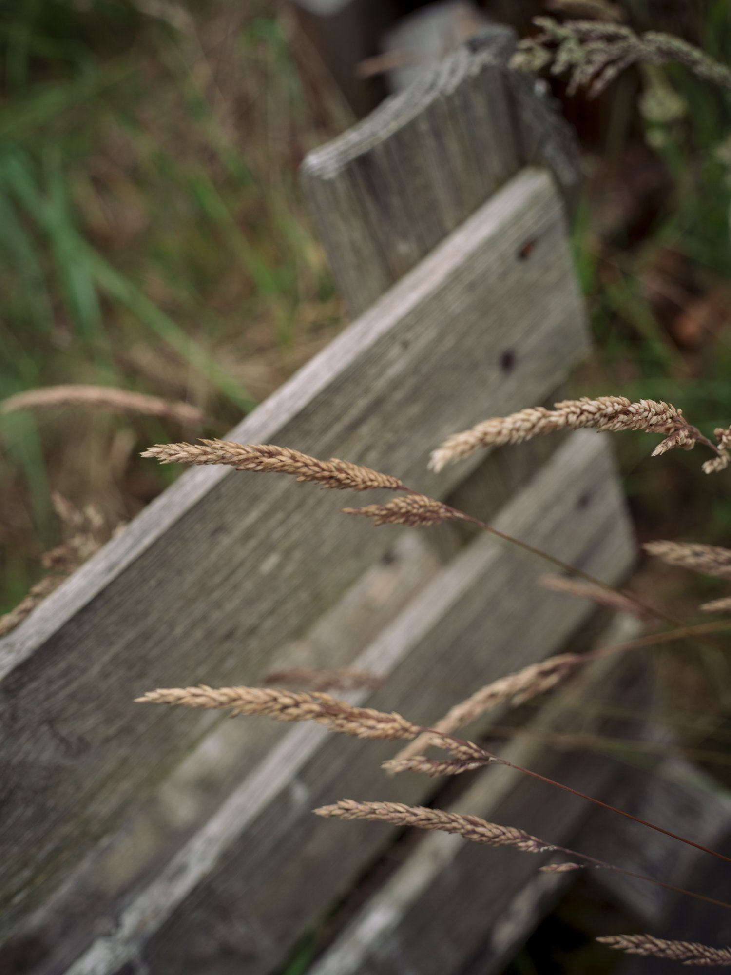 L1010559.jpg