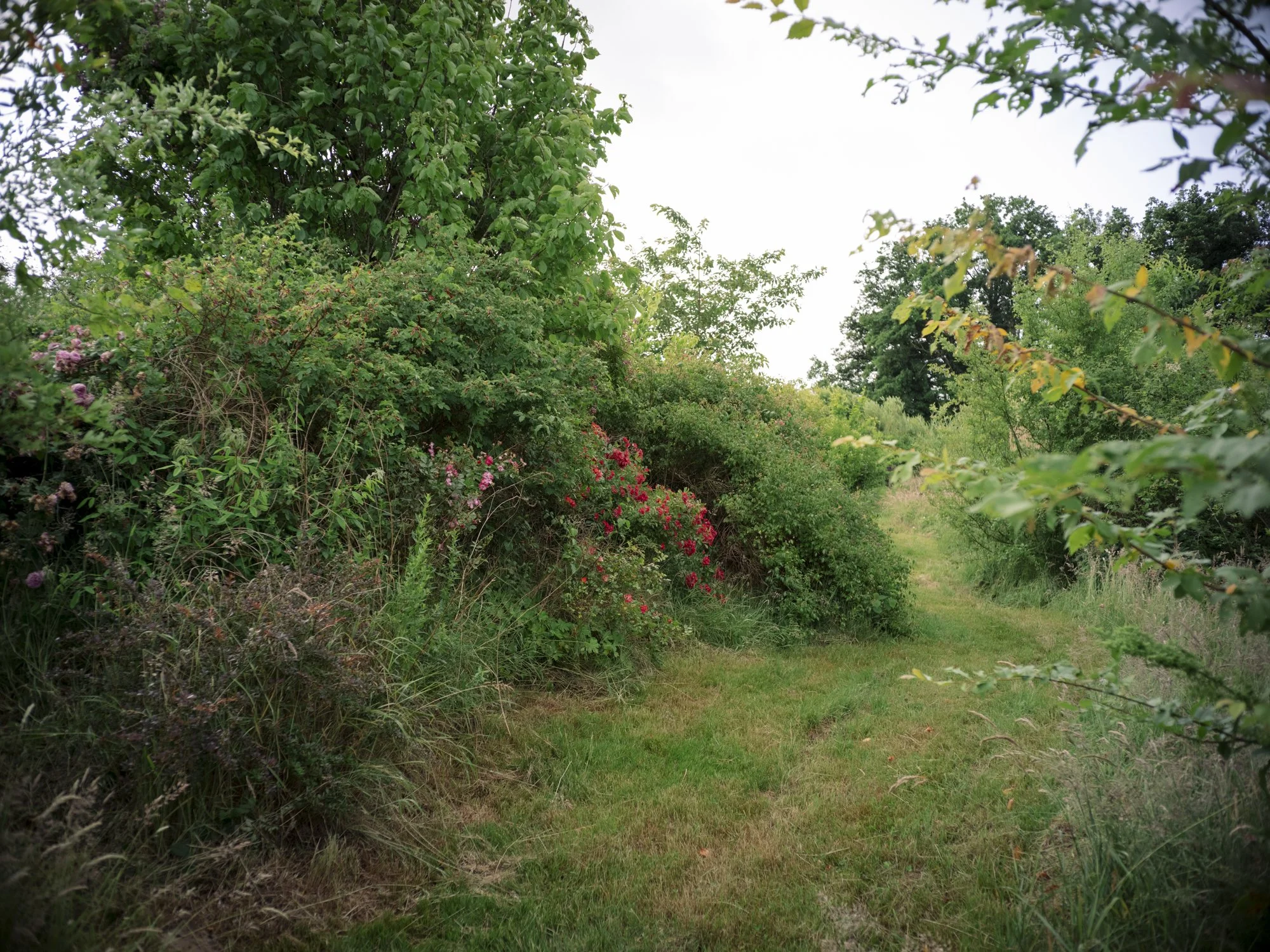 L1010877.jpg