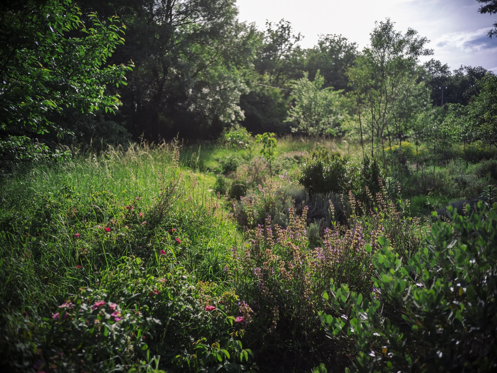 L1010741.jpg