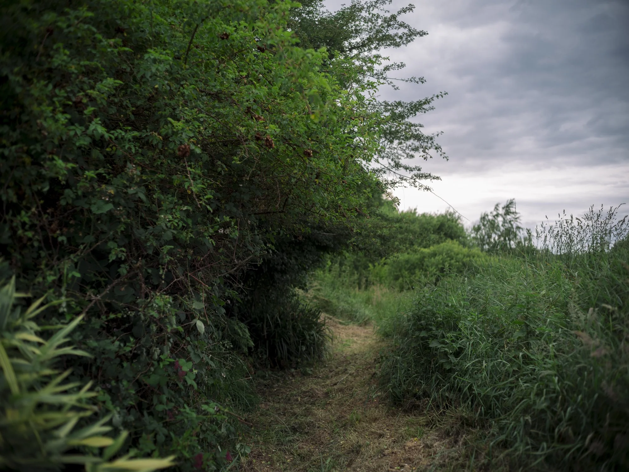 L1010675.jpg