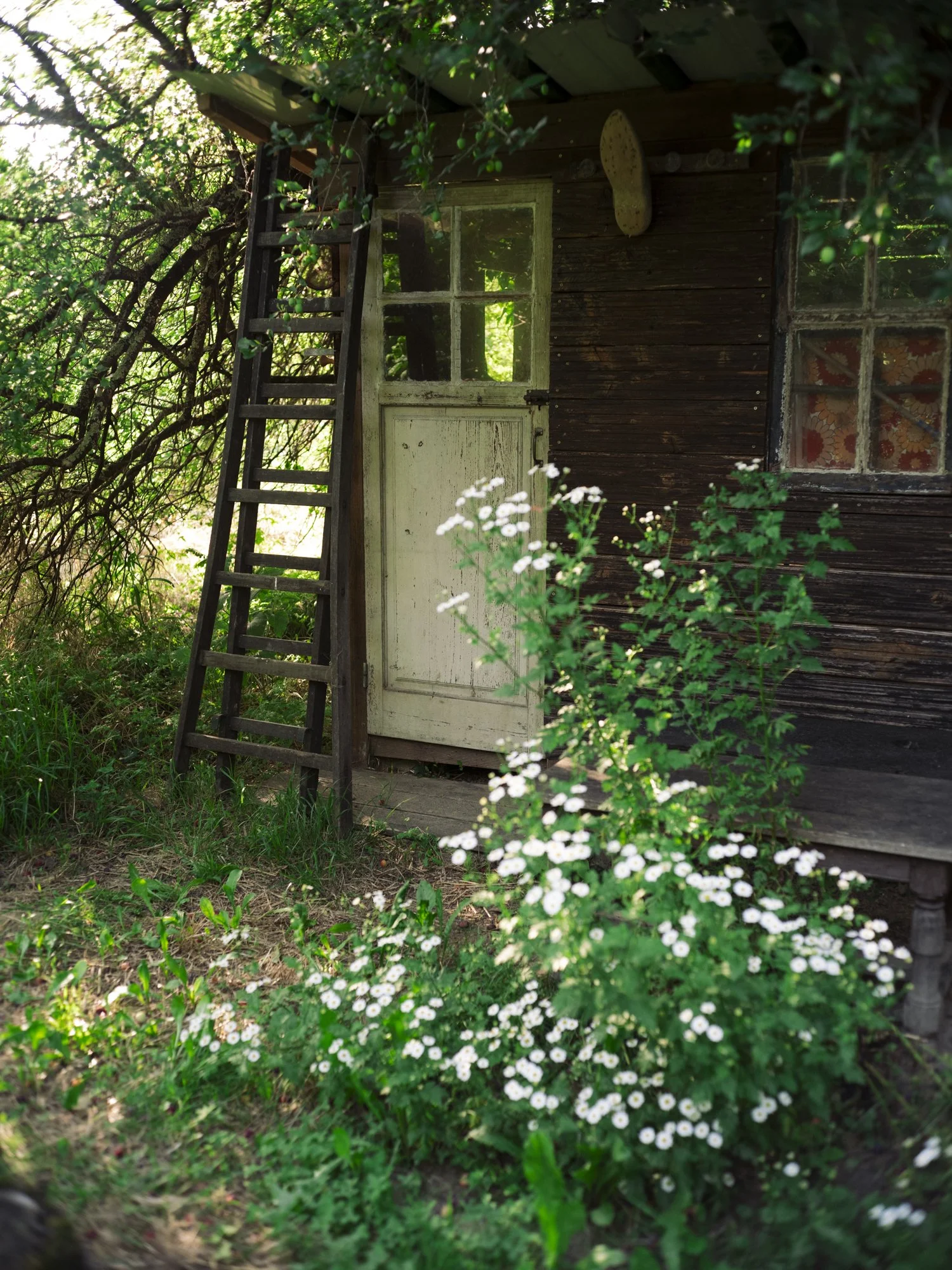 L1010826.jpg