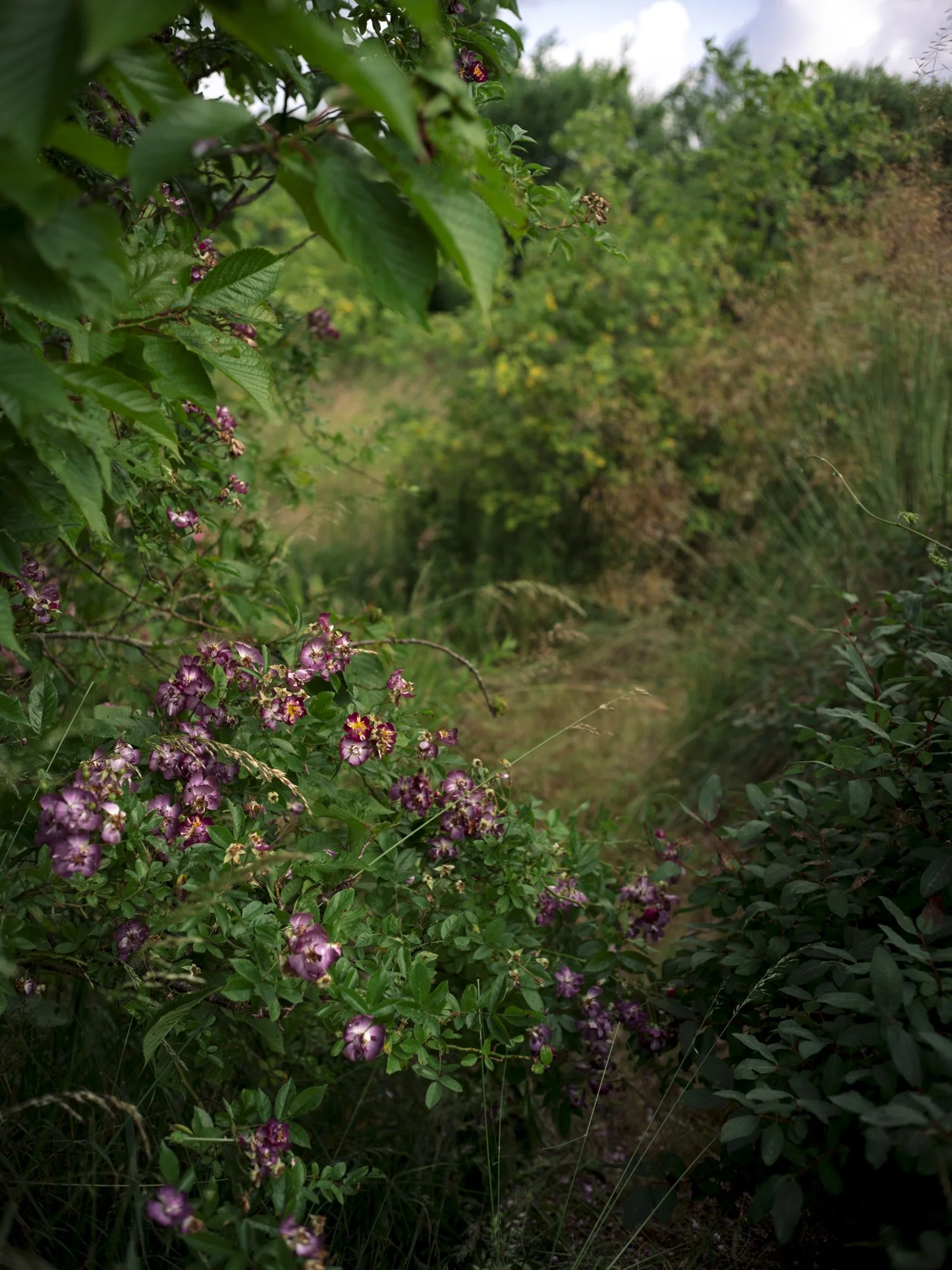 L1010734.jpg
