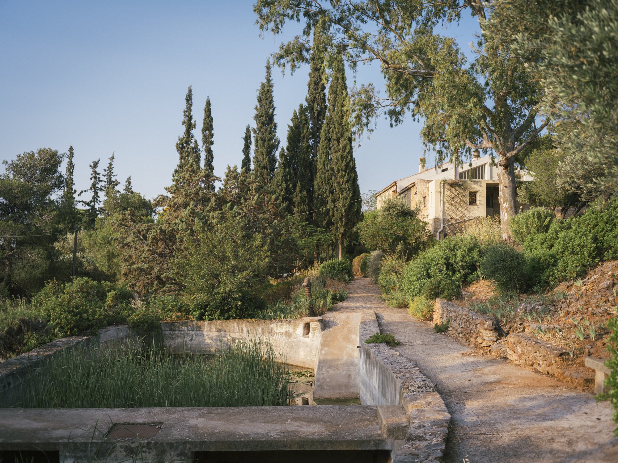 L1010508.jpg