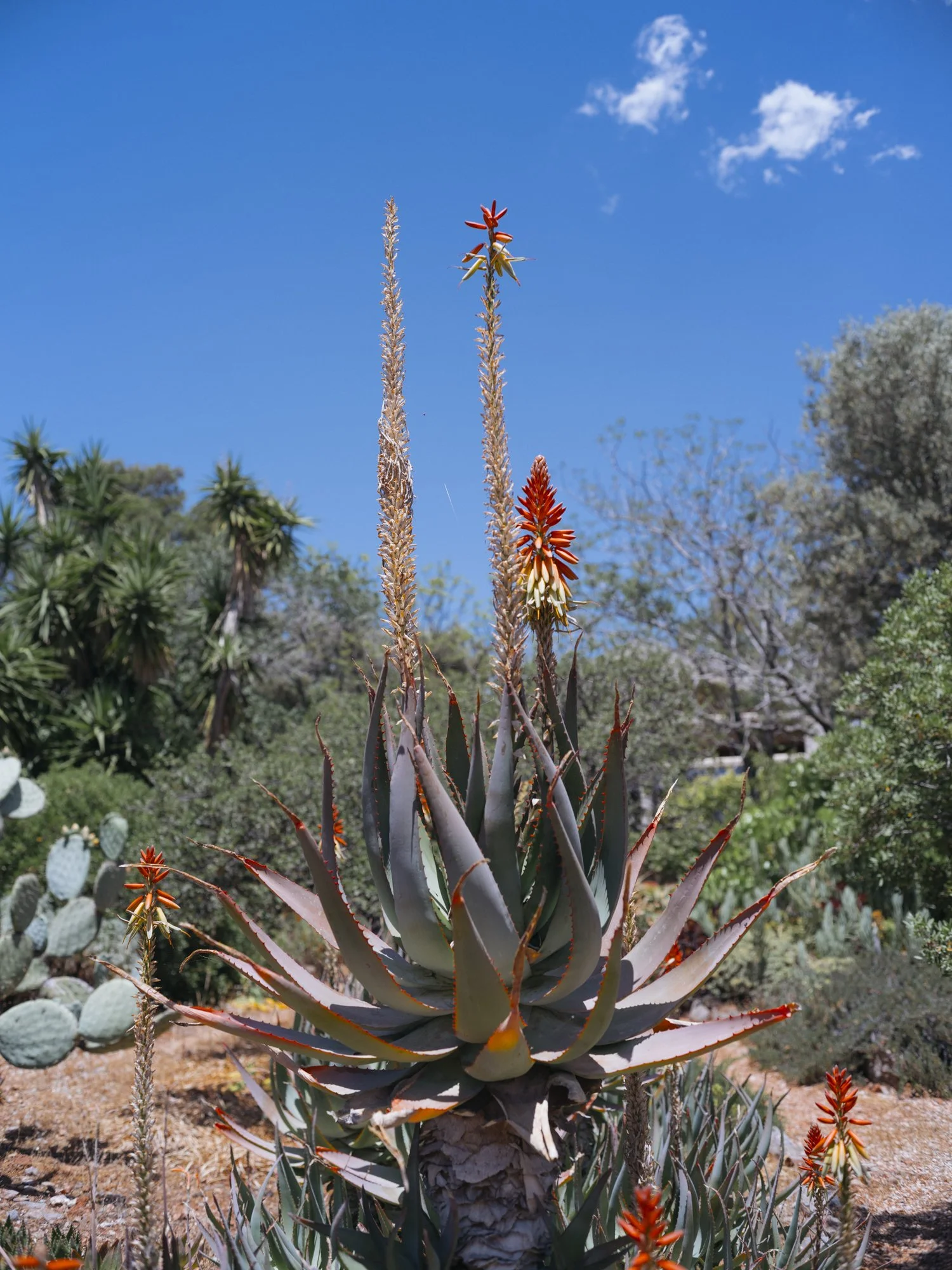L1010455-3.jpg