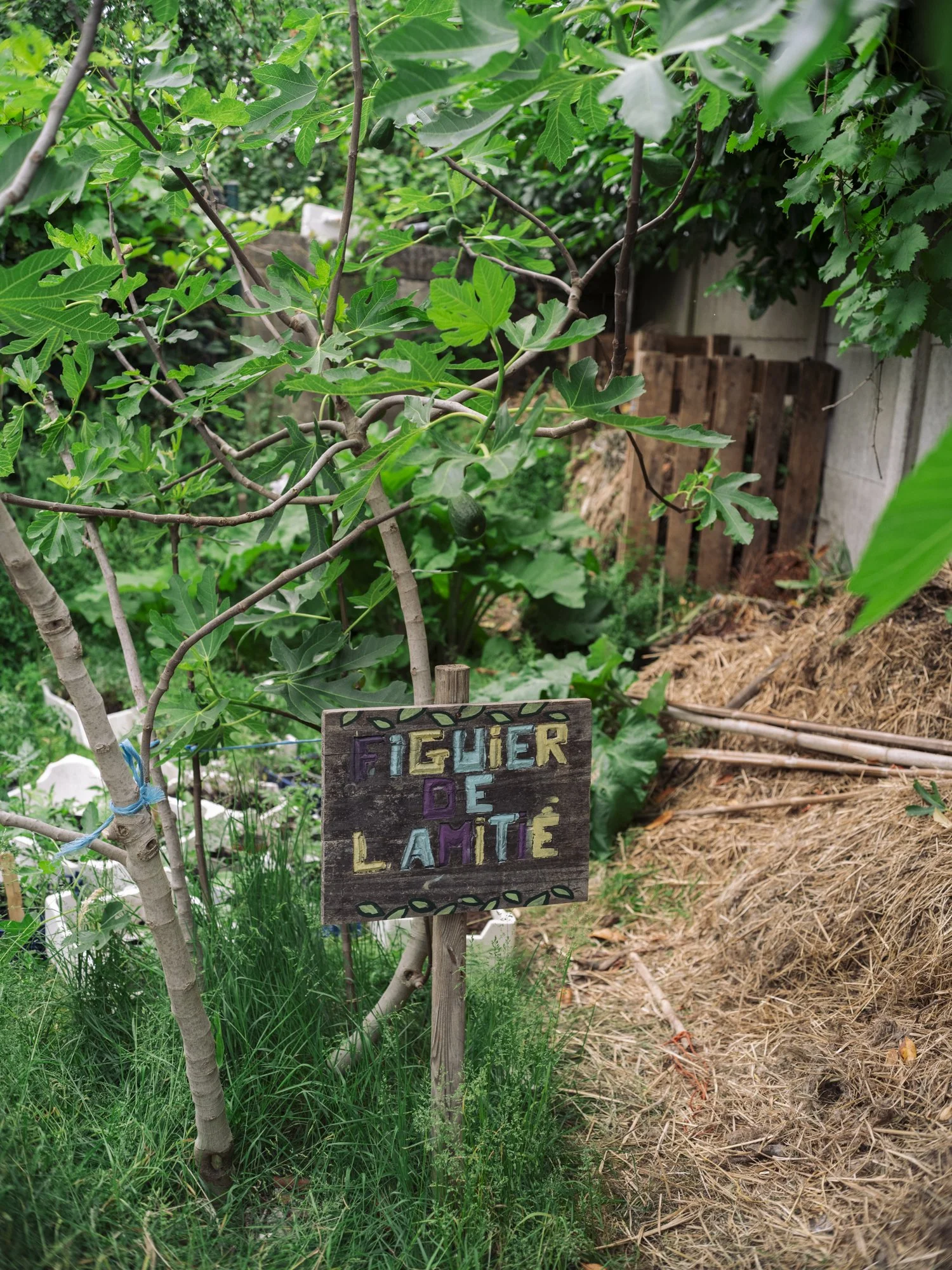 L1010509.jpg
