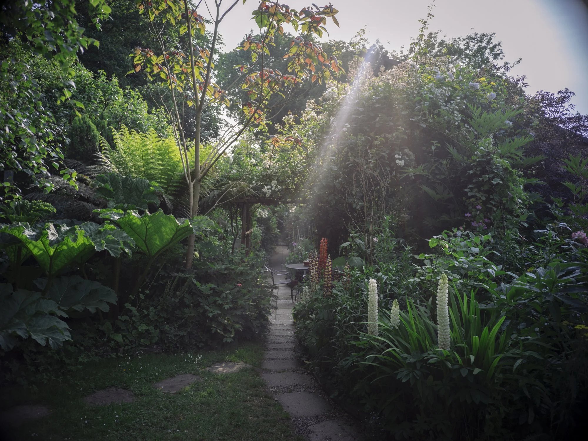 L1010800.jpg