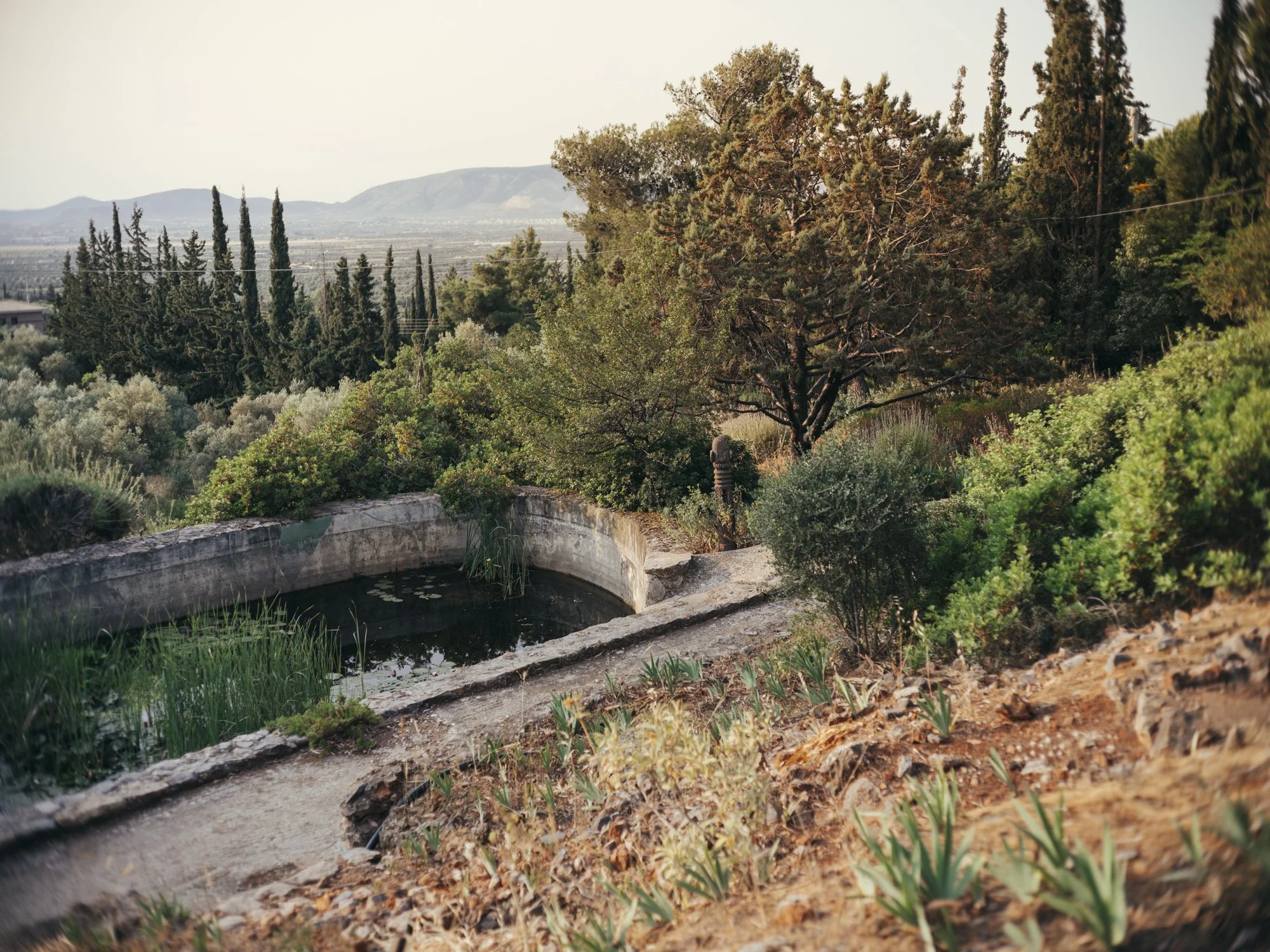 L1010474.jpg