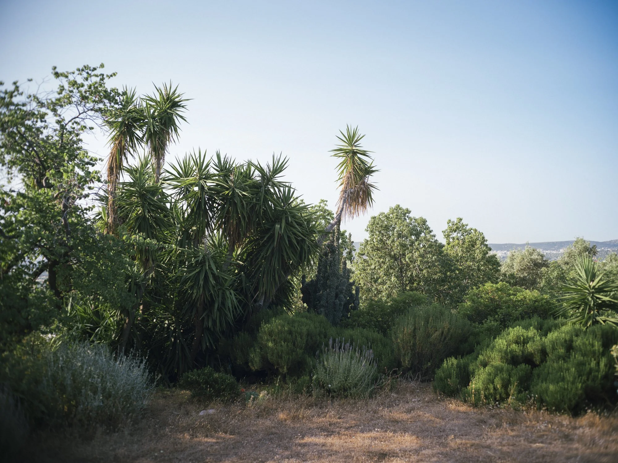 Le Jardin sec de Sparoza, Grèce