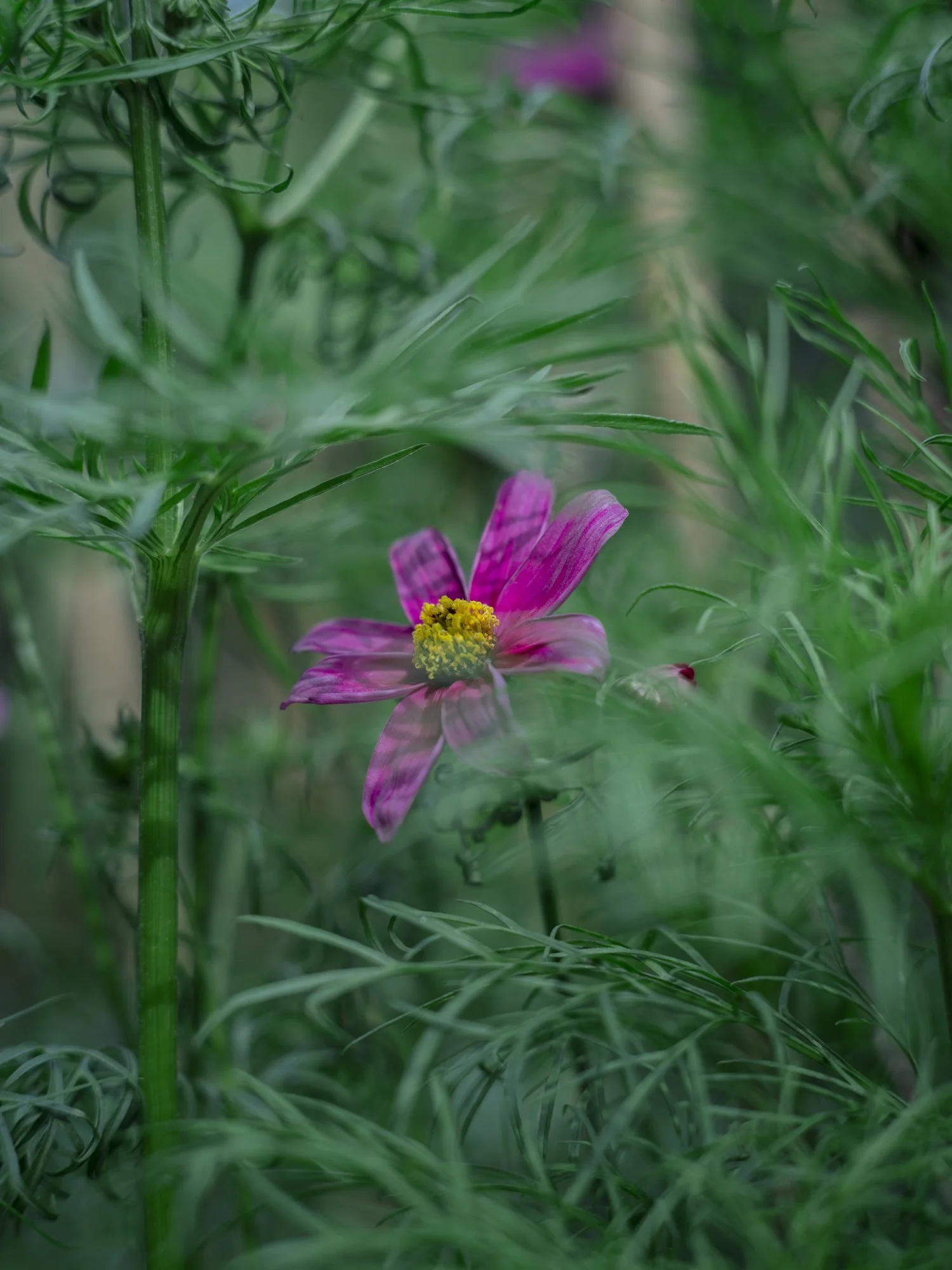 L1010548.jpg