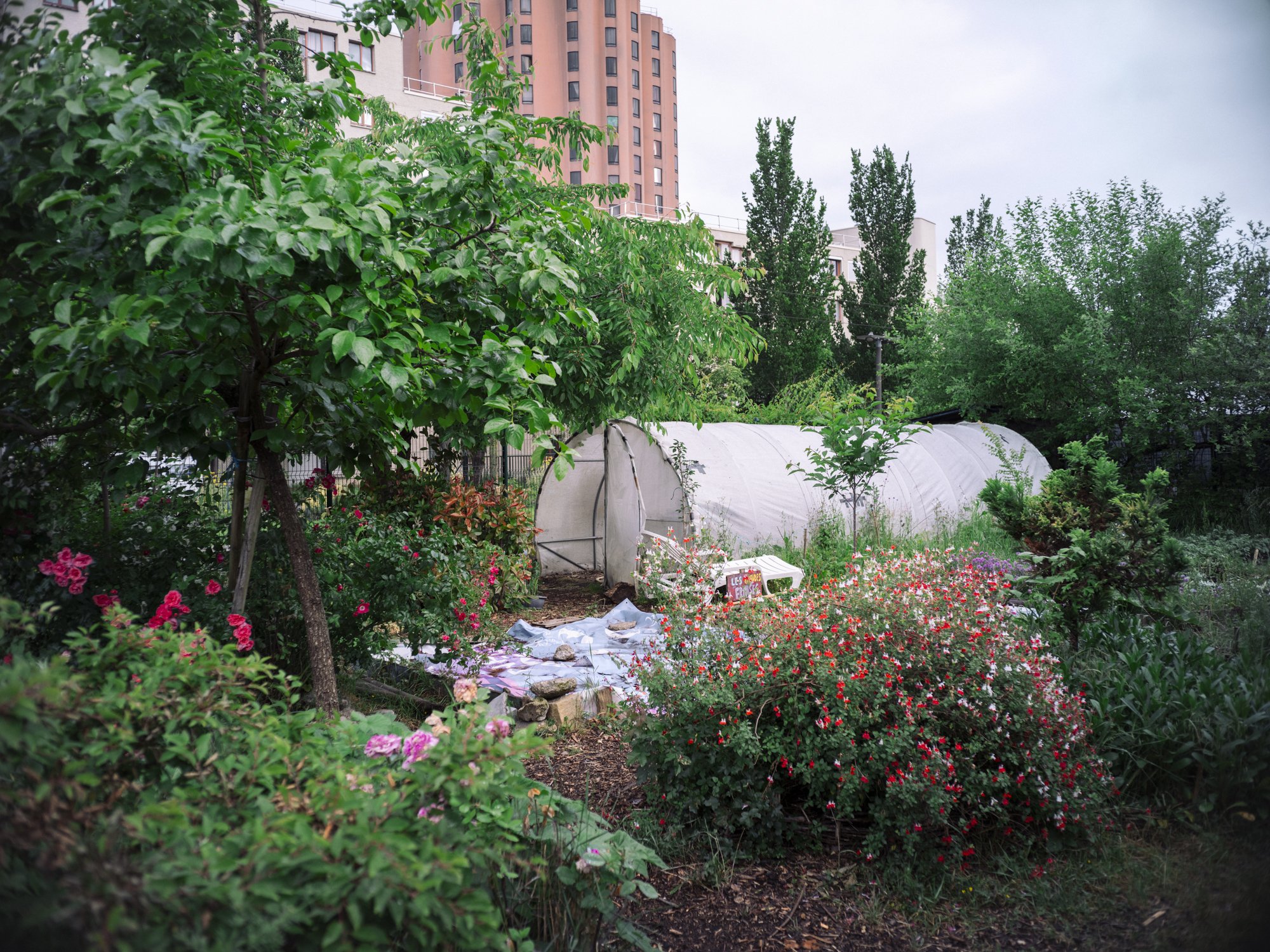 L1011072.jpg