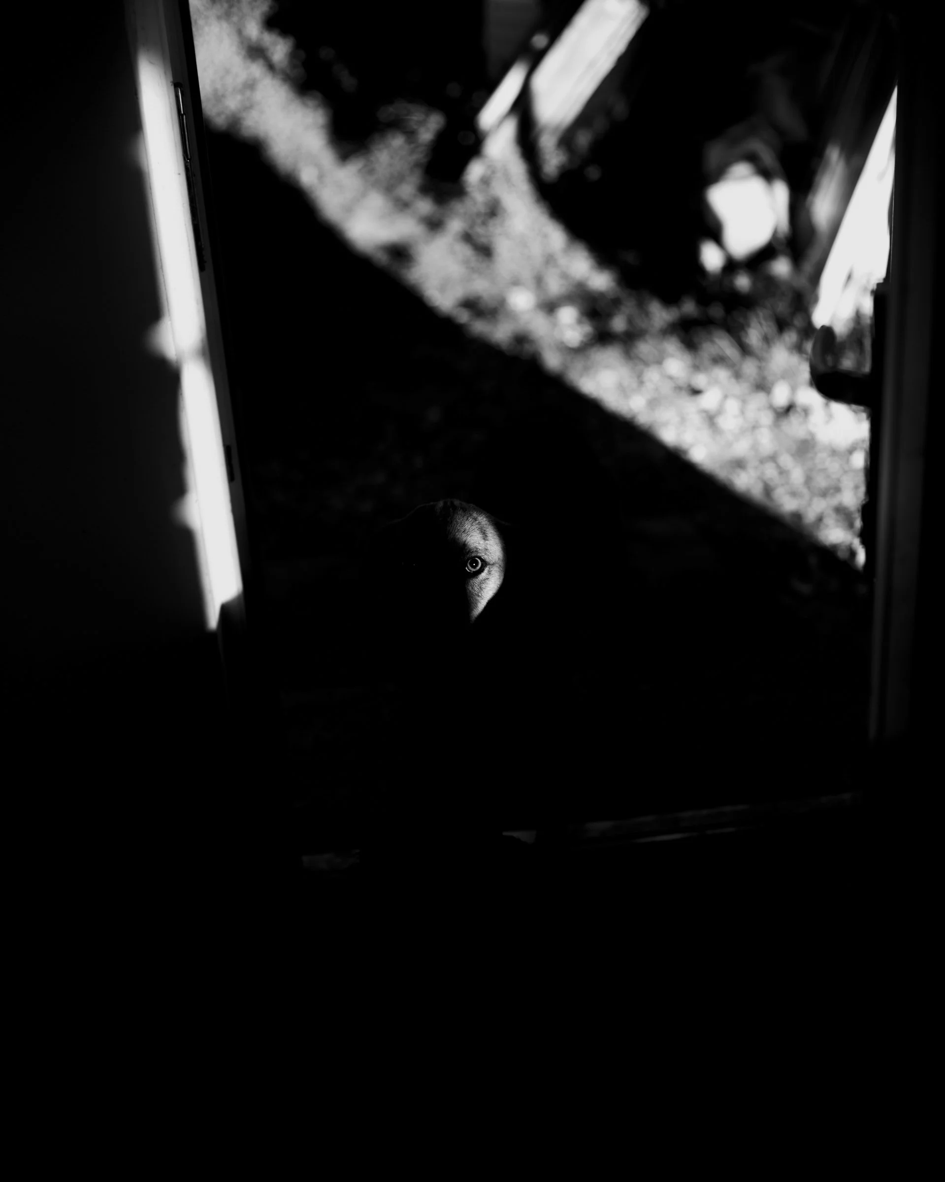 36-_DSF8248.jpg