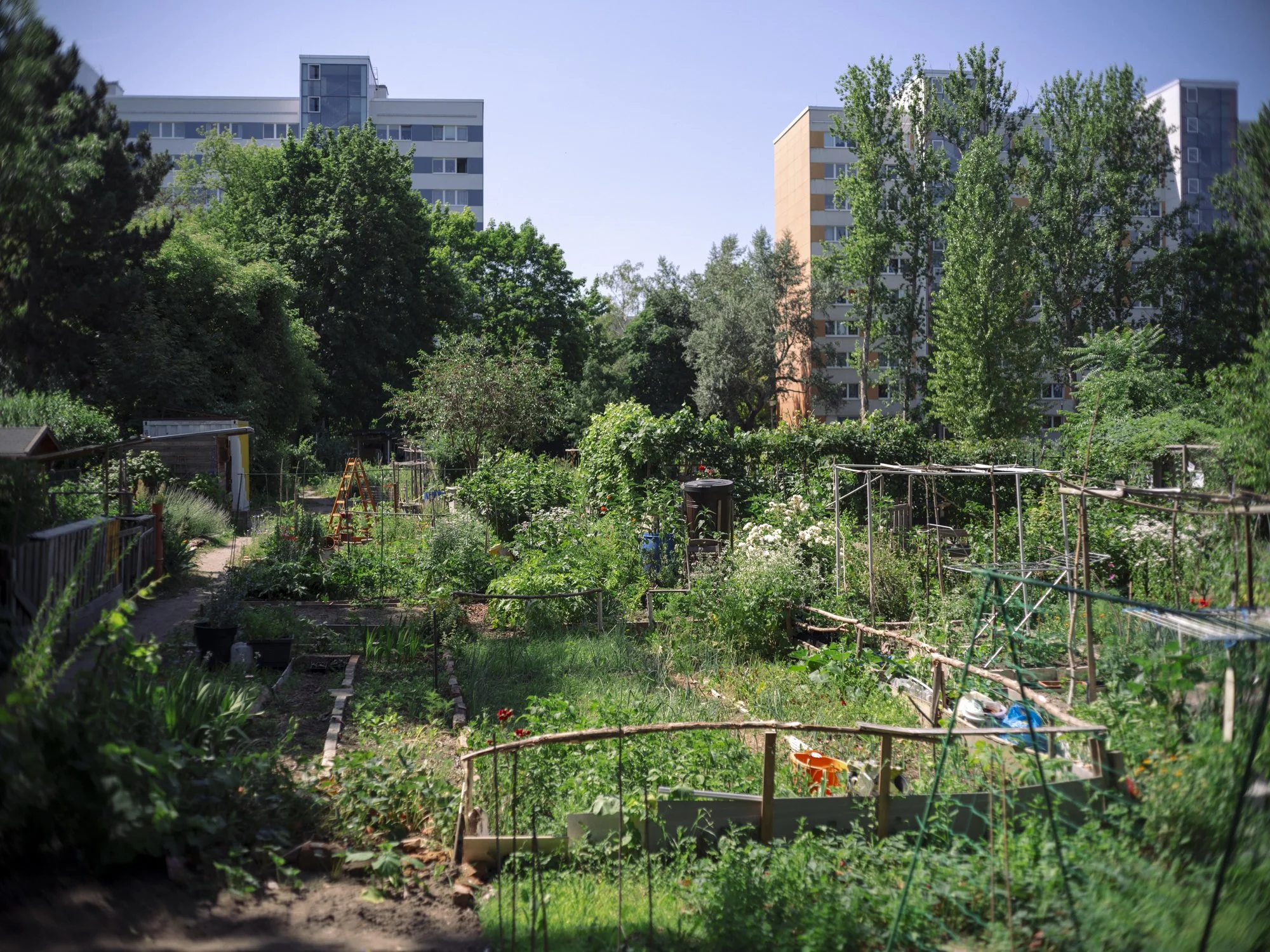 L1010702.jpg