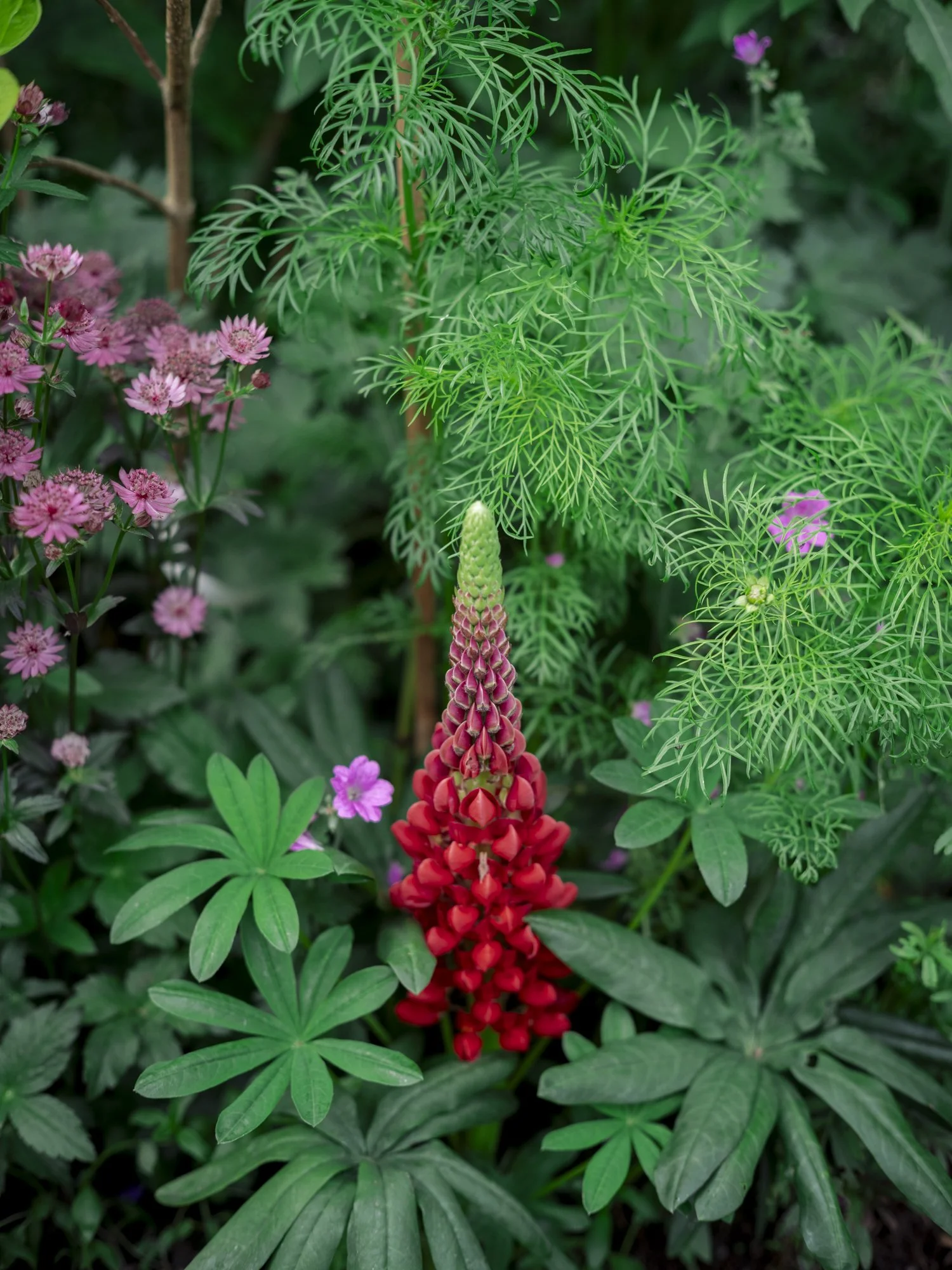 L1010449.jpg