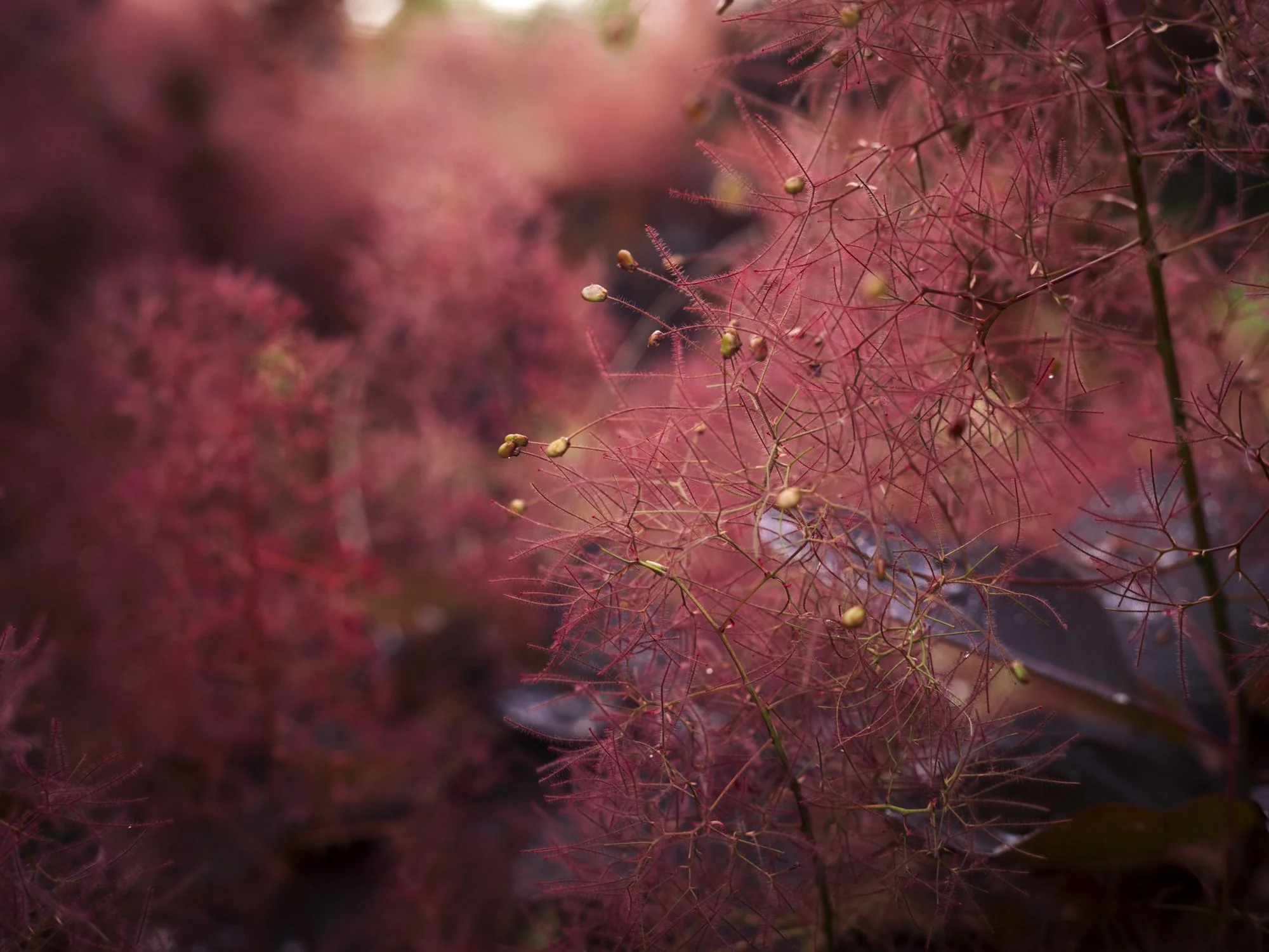 L1010801.jpg