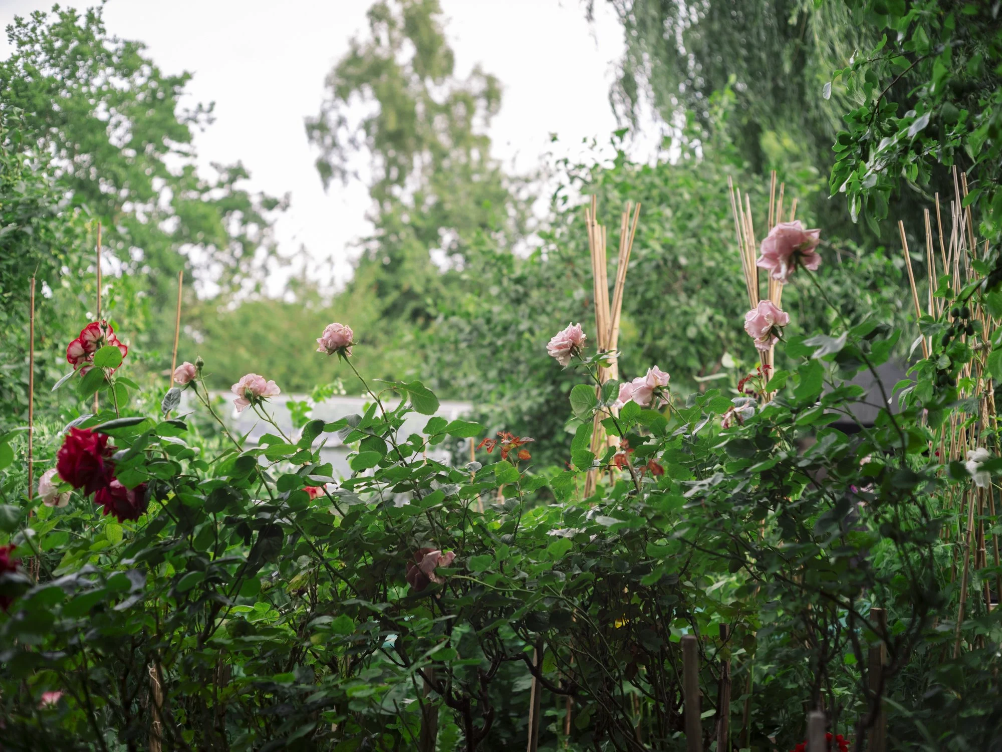 L1010624.jpg