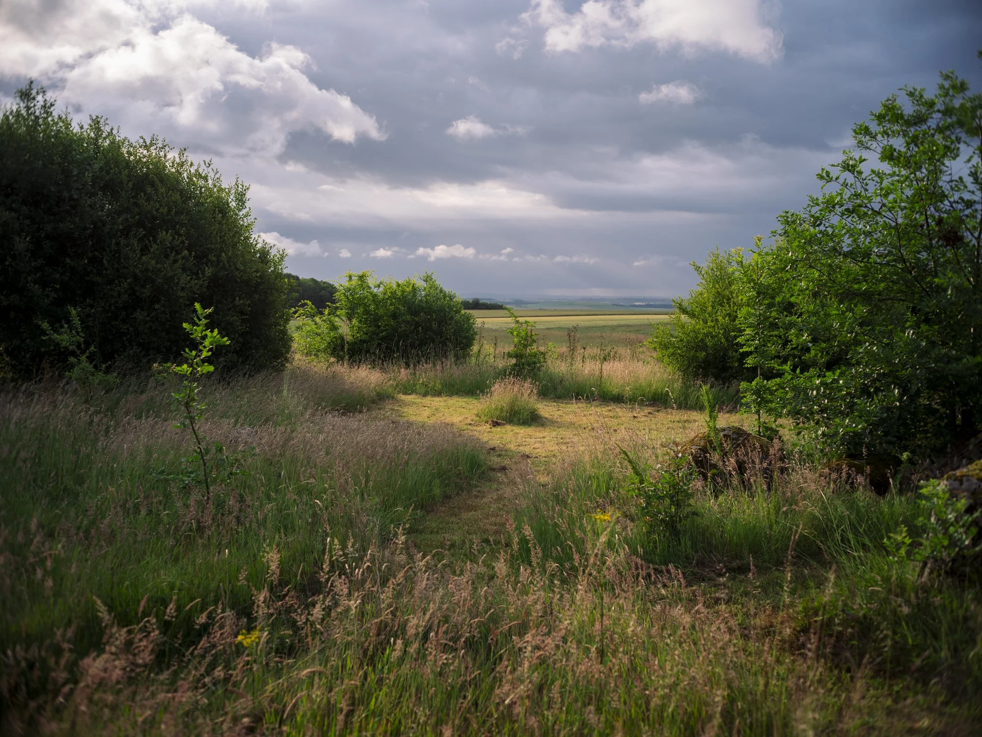 L1010872.jpg