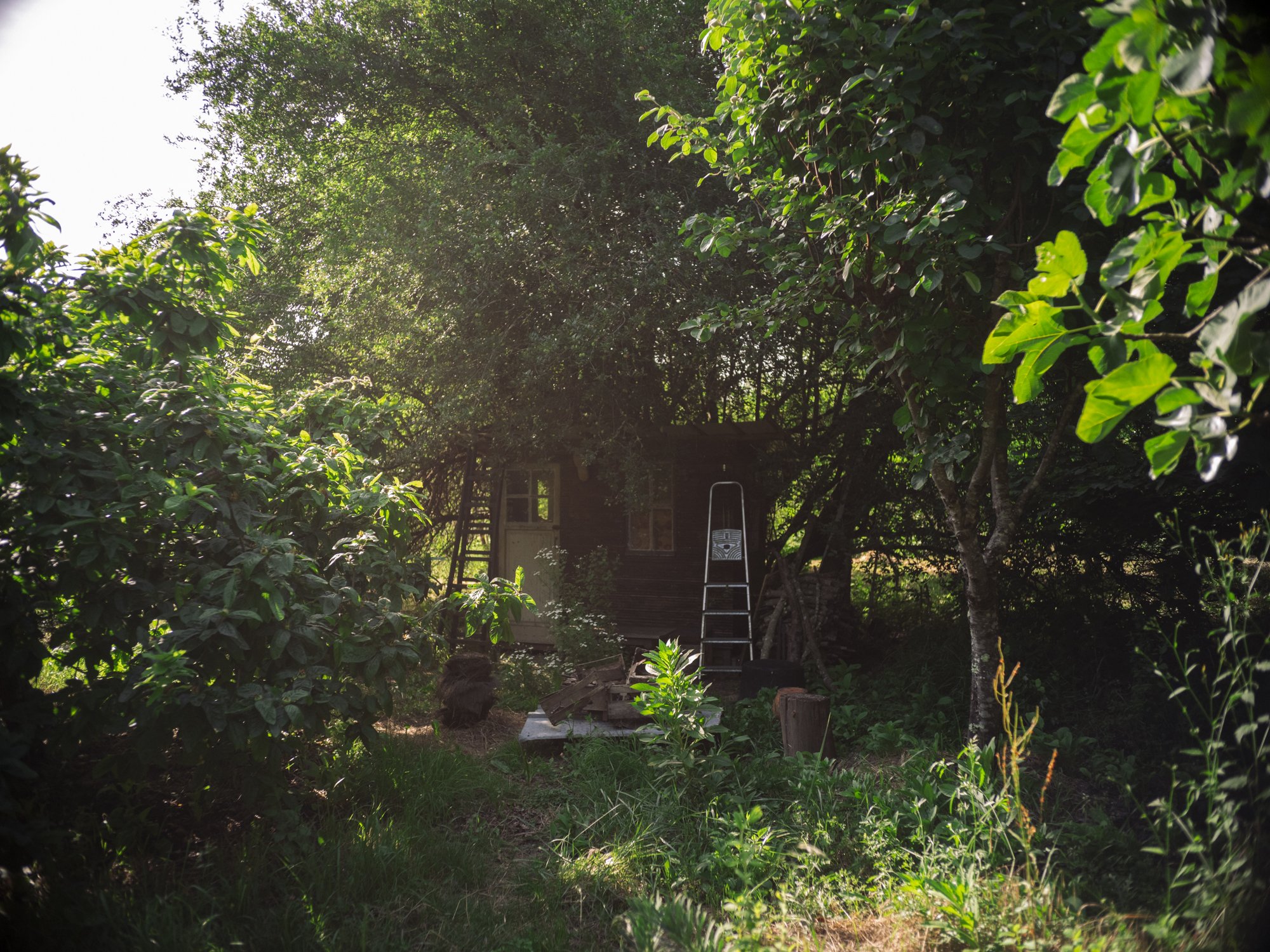 L1010738.jpg