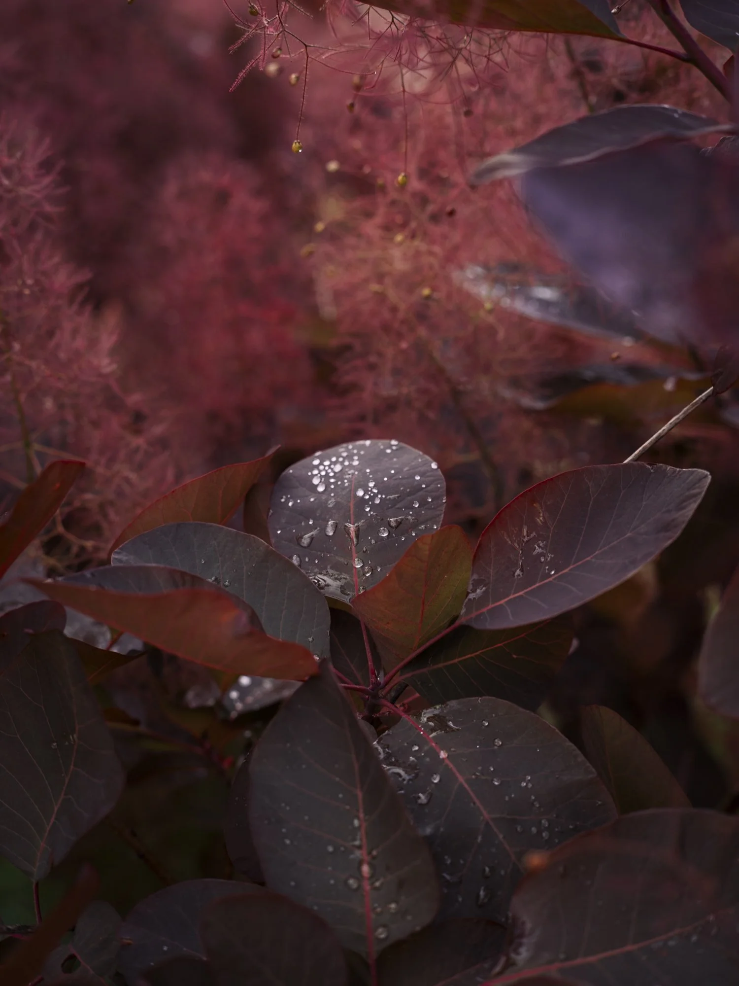 L1010493.jpg
