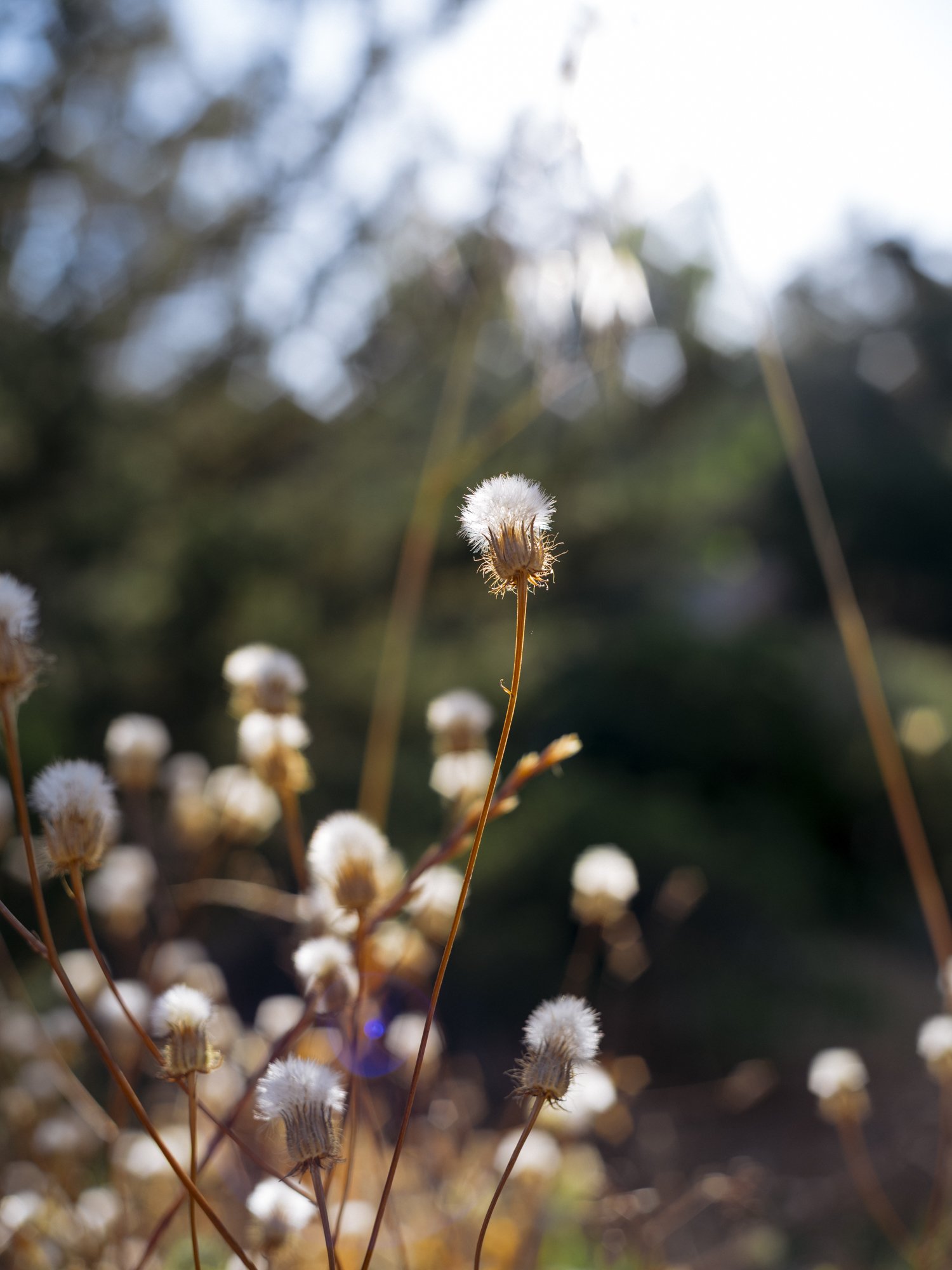 L1010528.jpg