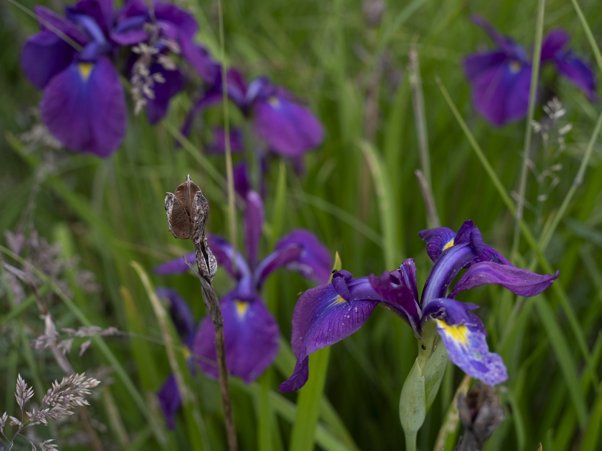 L1010566.jpg