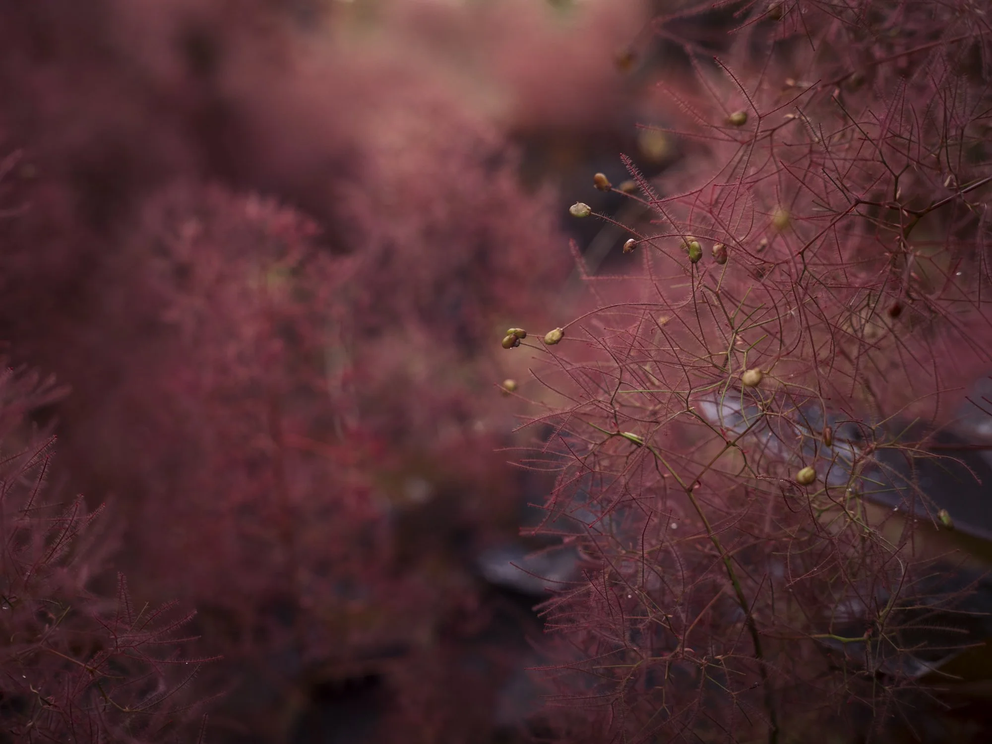L1010432.jpg