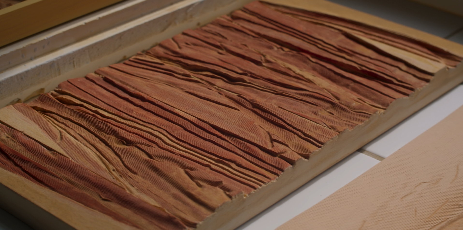 Capture d'écran 2026-02-13 125829.png