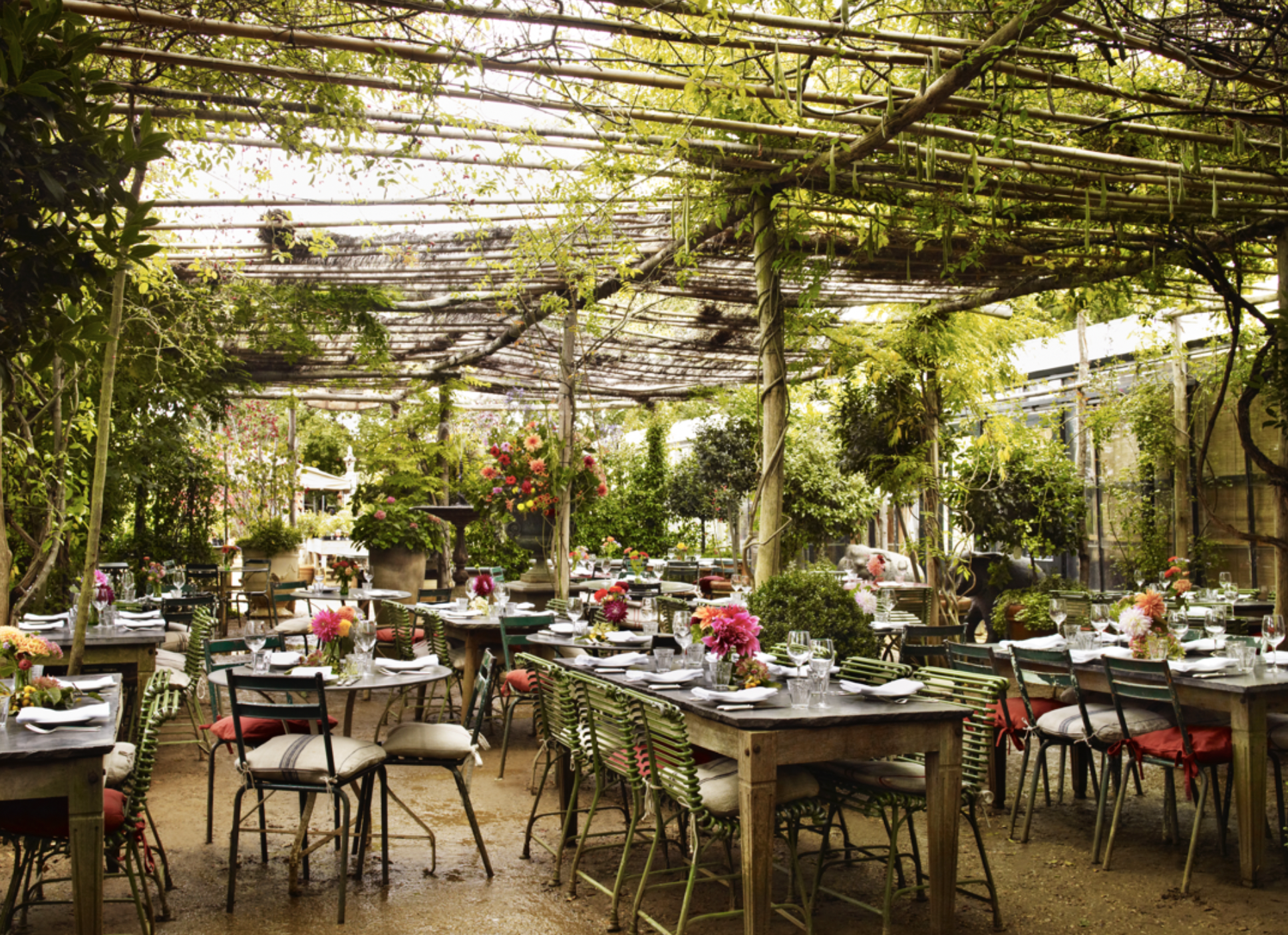 Lunch at Petersham Nurseries