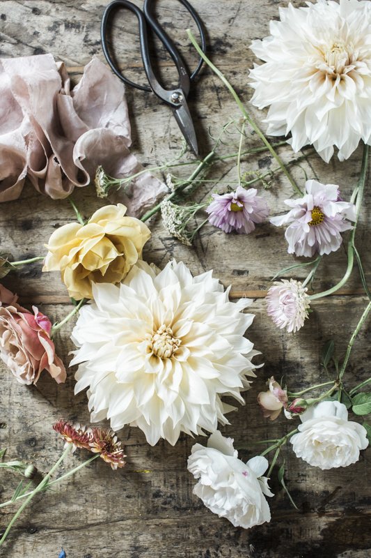  Fleurs posées sur la table en bois de l’atelier de la fleuriste Emily Avenson 