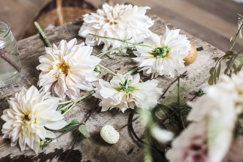  Fleurs posées sur la table en bois de l’atelier de la fleuriste Emily Avenson.  