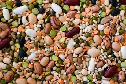 Eat Smart, Feel Great: A Guide to Fibre-Filled Living