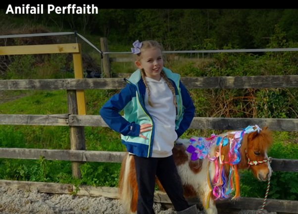 Hyfryd oedd gweld un o ddysgwyr talentog Blwyddyn 8 yn serennu ar raglen 'Anifail Perffaith' S4C dros yr Haf! Da iawn ti! 🌟👏

It was lovely to see one of our talented Year 8 learners starring on S4C's 'Anifail Perffaith' programme over the summer! 