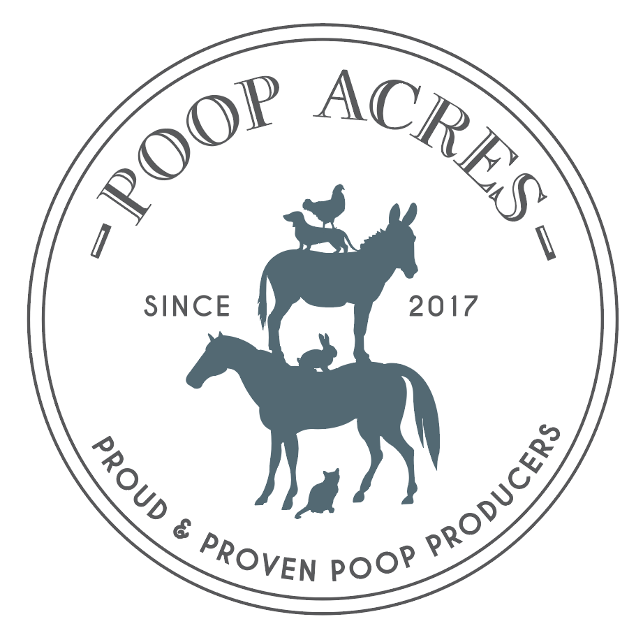 Logo Development and Design