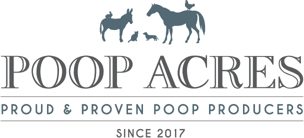 Logo Development and Design