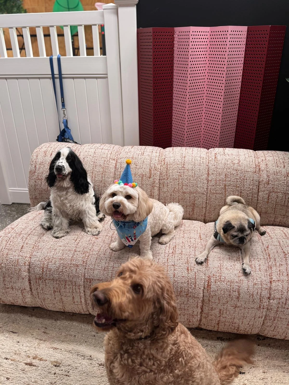 WhatsApp Image 2026-01-07 at 5.17.49 PM.jpeg