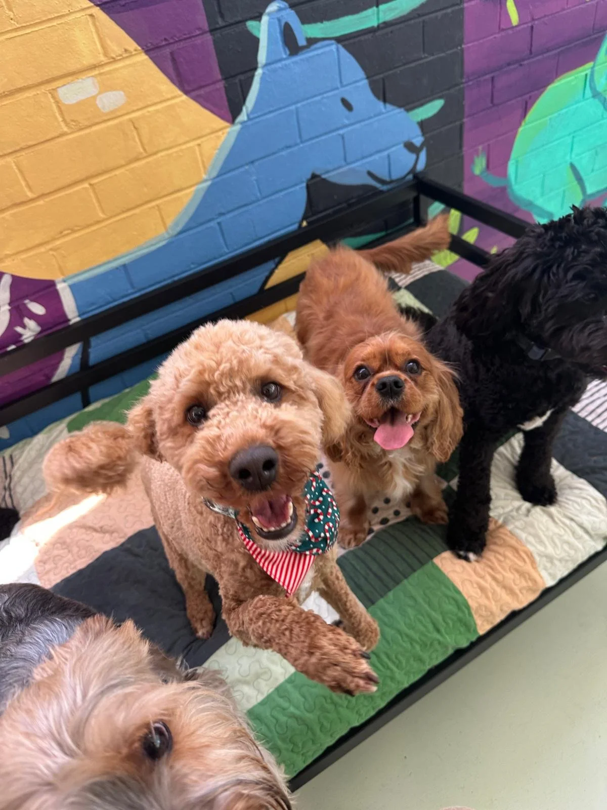 WhatsApp Image 2026-01-07 at 7.48.27 PM.jpeg