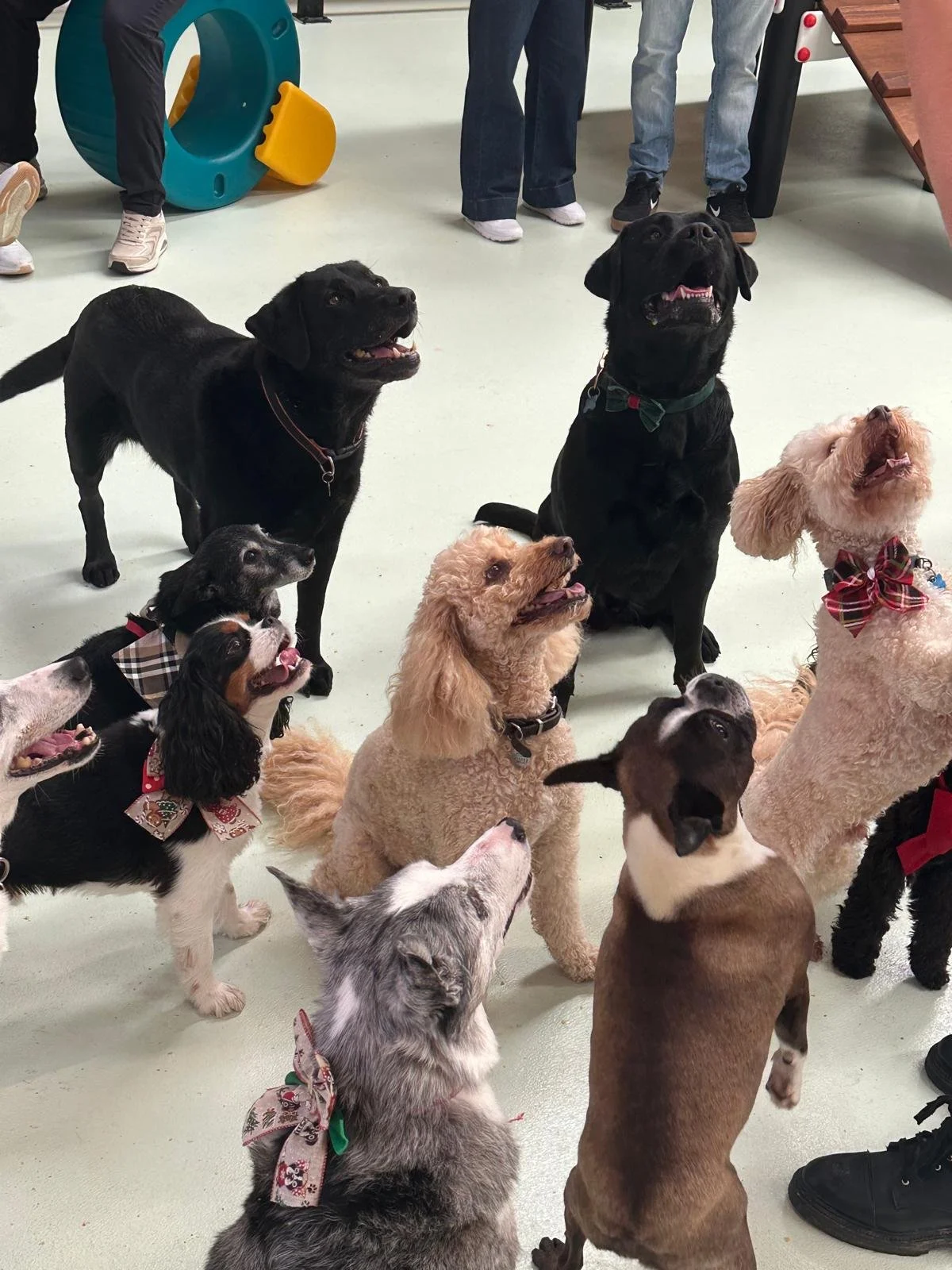 WhatsApp Image 2026-01-07 at 7.47.49 PM.jpeg