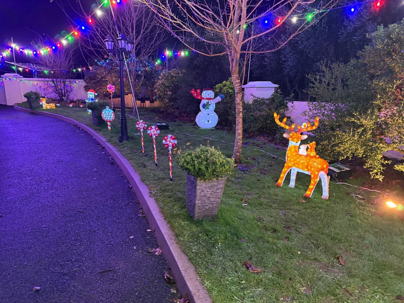 WhatsApp Image 2025-11-24 at 10.56.57 (7).jpeg