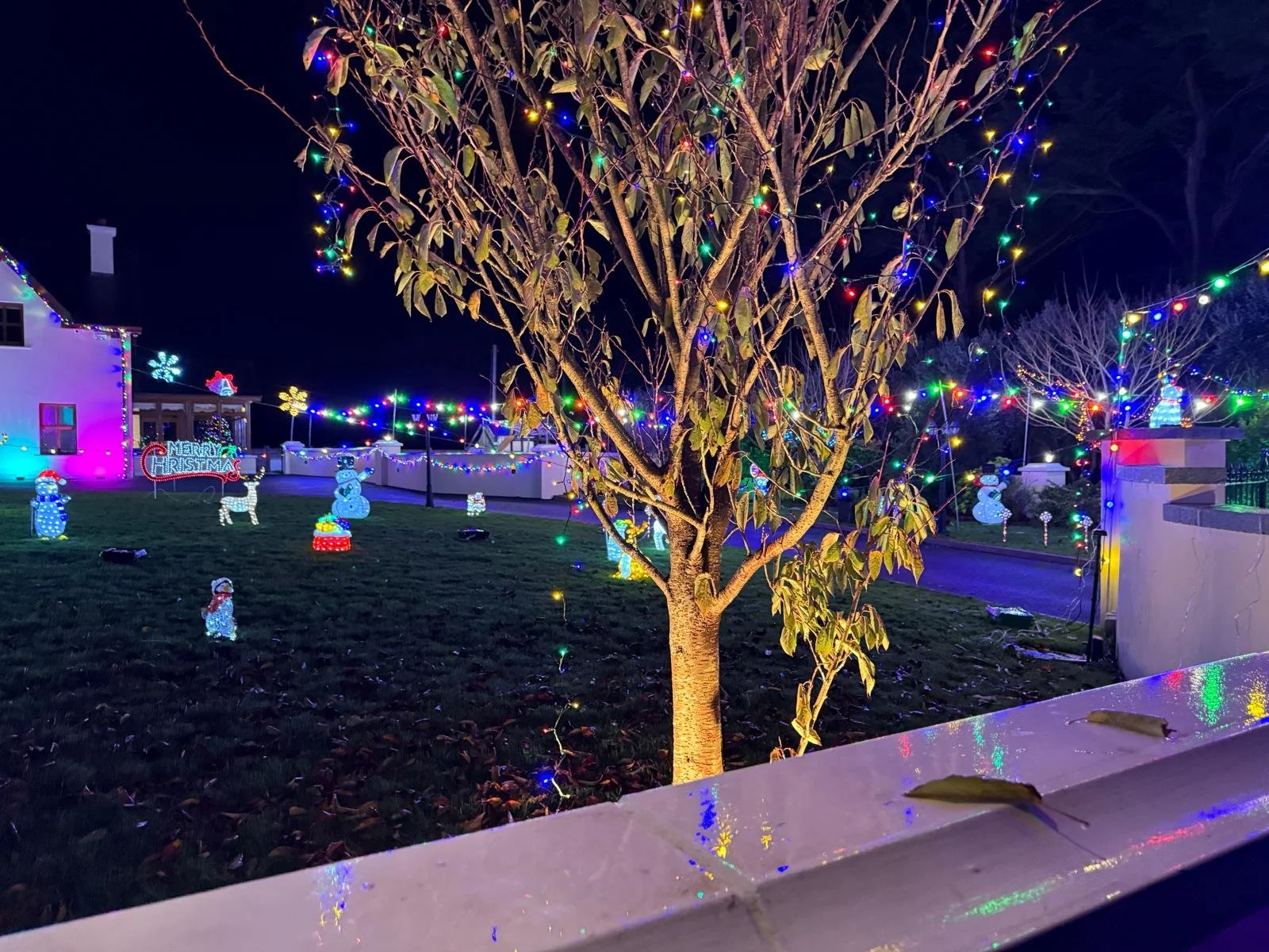 WhatsApp Image 2025-11-24 at 10.56.58 (2).jpeg