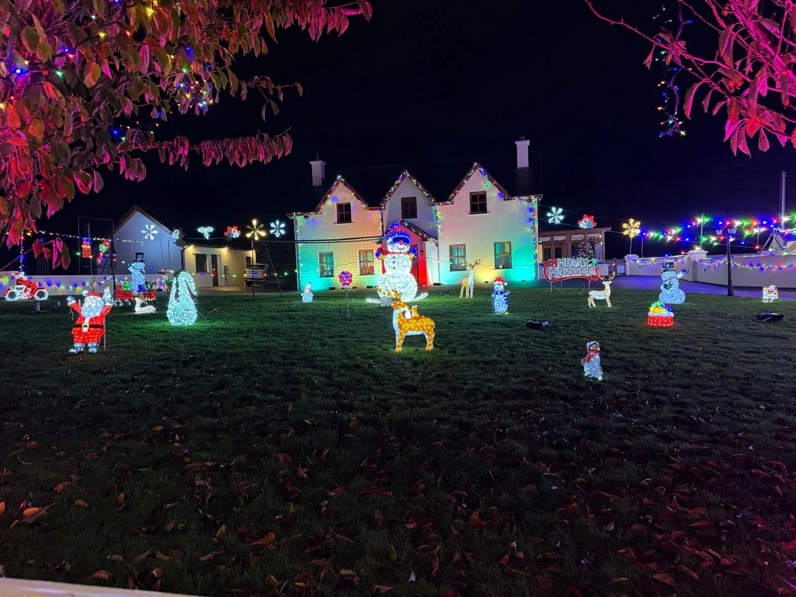 WhatsApp Image 2025-11-24 at 10.56.58.jpeg