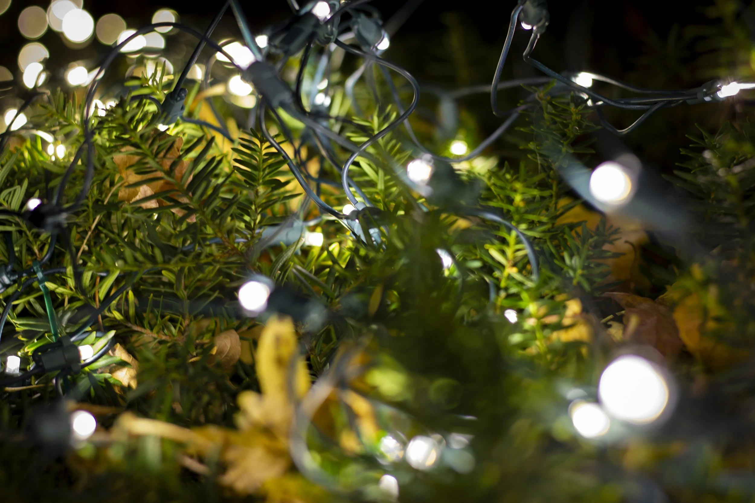 How to Safely Install Outdoor Christmas Lights in Cork’s Wet Weather