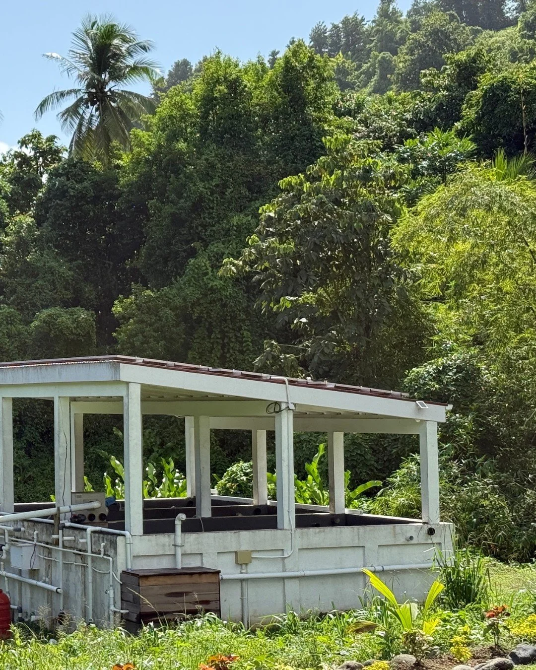 This is truly a &ldquo;reduce &ndash; reuse &ndash; recycle&rdquo; approach! In 2023 we completed Dominica&rsquo;s first-ever three-stage wastewater treatment system to responsibly handle distillery wastewater. This converts a waste stream into usabl